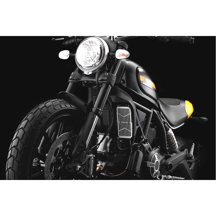 BIKERS (バイカーズ) ステンレス コアガード ドゥカティ スクランブラー DUCATI SCRAMBLER D0037｜バイクパーツ・用品　ラバーマーク 16,005円