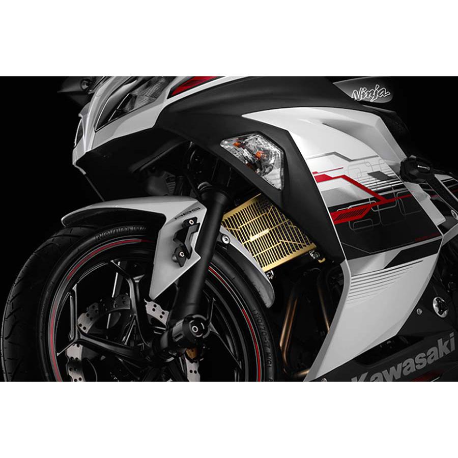 BIKERS (バイカーズ) ステンラジエターガード チタンコート ゴールド ニンジャ Ninja250/Z250 K0339-GLD