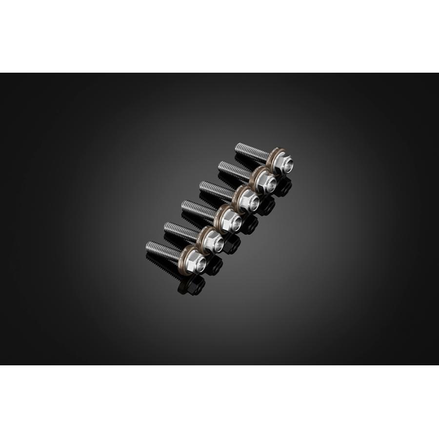 BIKERS (バイカーズ) スクリーン用 ステンレスボルト 6個 チタン YZF-R15/R125 C0424-TIN｜バイクパーツ・用品　ラバーマーク