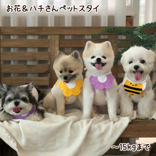 ハロウィン(シルバー)わんちゃん猫ちゃん用スタイ 楽天市場】【メール便送料無料】ハロウィン 犬猫用スタイ