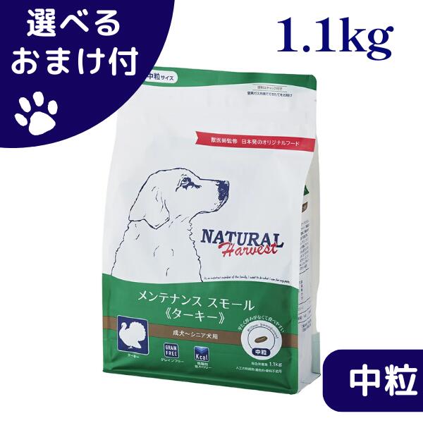 楽天市場】【最大1000円オフクーポンあり】ナチュラルハーベスト 犬