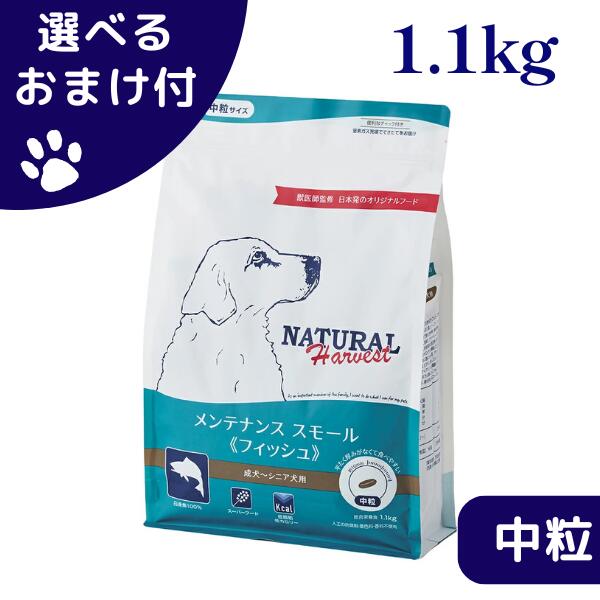 楽天市場】【最大1000円オフクーポンあり】ナチュラルハーベスト 犬