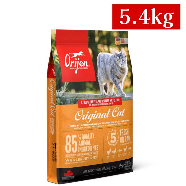 開びゃく 一風変わった 5.4kg 猫 (キャットフード)