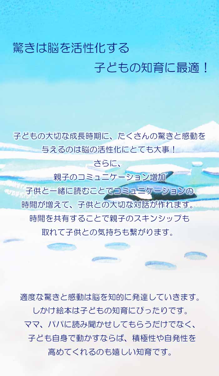 楽天市場 ほっきょくのいきもの イギリスの絵本 しかけ絵本 0歳 1歳 2歳向け絵本 おすすめ 人気 読み聞かせ おしゃれ かわいい 出産祝い 誕生日 プレゼントに最適 幼児 赤ちゃん 子供 孫に贈り物楽しく 知育 学習 おうち時間 ギフト 白熊 ベアー クマさん 生物