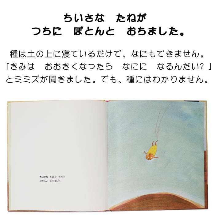 楽天市場 たね スウェーデンの絵本 ストーリー絵本 0歳 1歳 2歳向け絵本 おすすめ 人気 読み聞かせ おしゃれ かわいい 出産祝い 誕生日 プレゼントに最適 幼児 赤ちゃん 子供 孫に贈り物楽しく 知育 学習 おうち時間 ギフト Lifestylegoodsラギッドマーケット