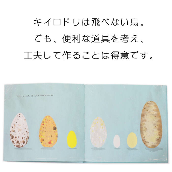 楽天市場 キイロドリ ゆめをかなえる スペインの絵本 ストーリー絵本 3歳向け絵本 おすすめ 人気 読み聞かせ おしゃれ かわいい 出産祝い 誕生日 プレゼントに最適 幼児 赤ちゃん 子供 孫に贈り物楽しく 知育 学習 おうち時間 ギフト Lifestylegoodsラギッドマーケット