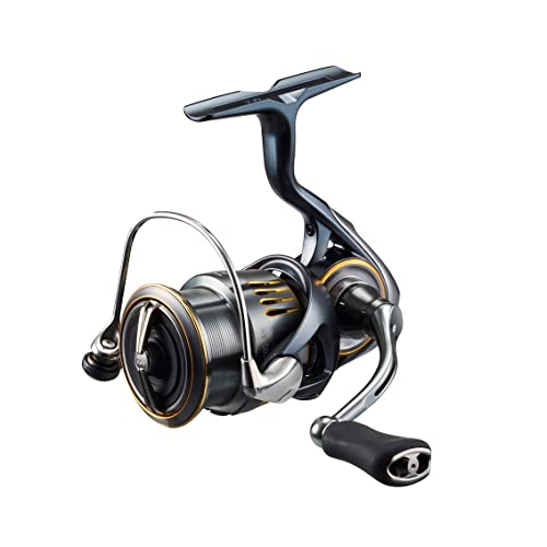 DAIWA THEORY スピニングリール　エギング 楽天市場】ダイワ(DAIWA) バス、エギング スピニングリール 23AIRITY