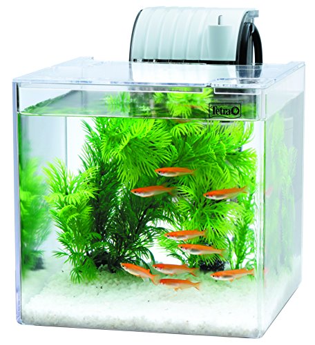 楽天市場】テトラ (Tetra) テトラ プラスチック 静かなメダカ飼育 