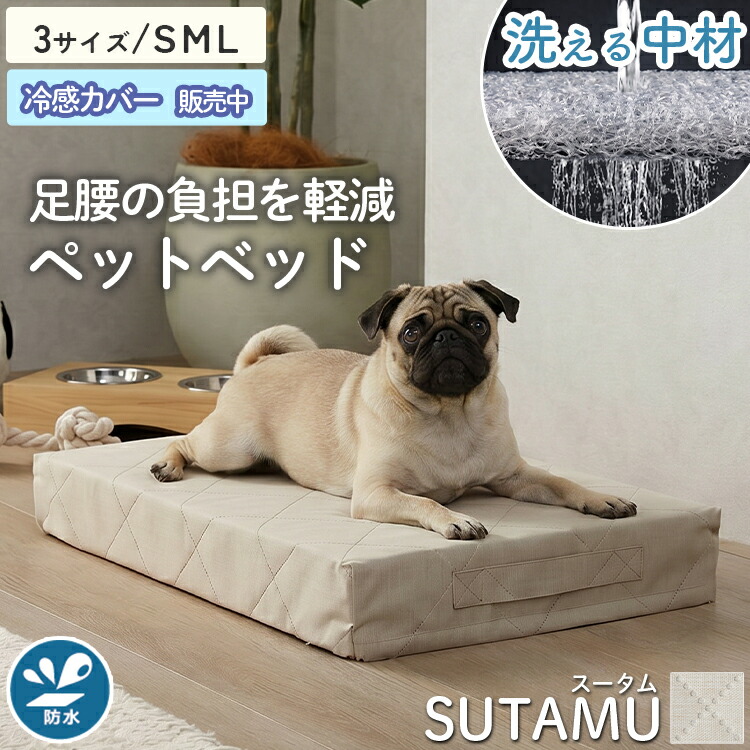 レビュープレゼントキャンペーン