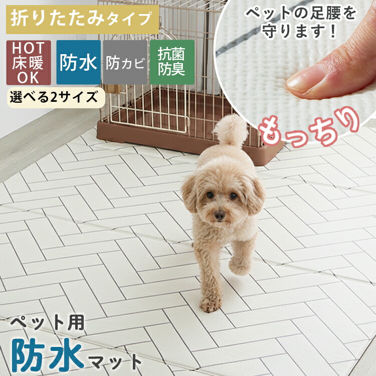 百貨店大売り出し人並み外れた会場ペイジ