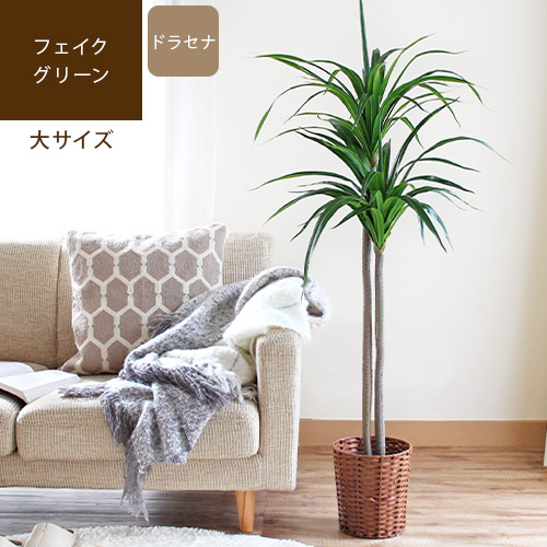 送料無料 メーカー直送 代引不可 Fake Green フェイクグリーン フラハ Draceana ドラセナ観葉植物 フェイク 人工樹木 おしゃれ 造花 観葉樹木 中型 大型 室内 玄関 リビング オフィス インテリア イミテーション ツリー グリーン 緑 Azm Consyrsa Com