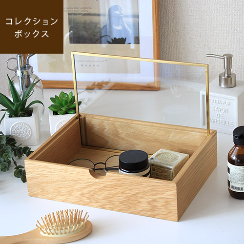 コレクションボックス