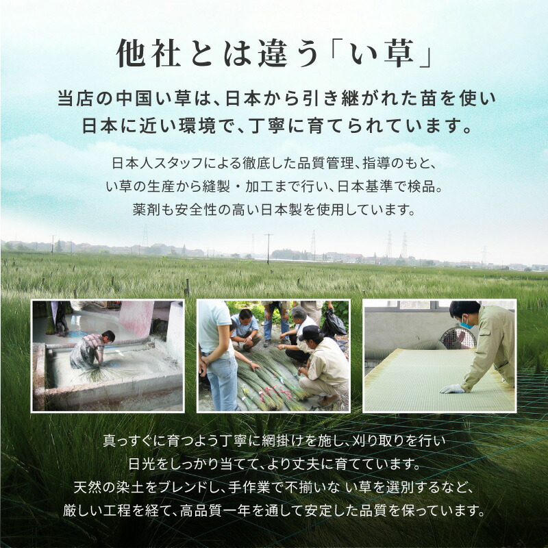 い草上敷き備前約382×382cm【本間8畳】8帖双目織り撥水和風和室無地抗菌防臭ござい草カーペット撥水ラグ畳の上に敷くもの和風敷物井草イグサいぐさ関西間京間六三間63間萩原