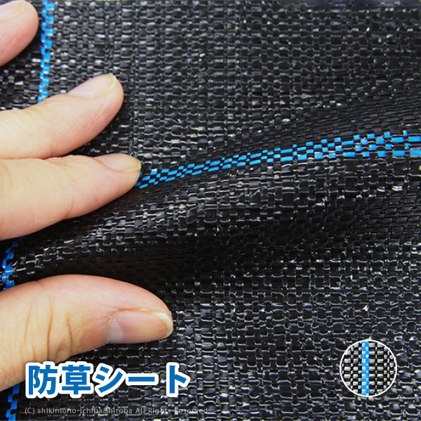 贈りその儀にぴったり！差し上げ物特集