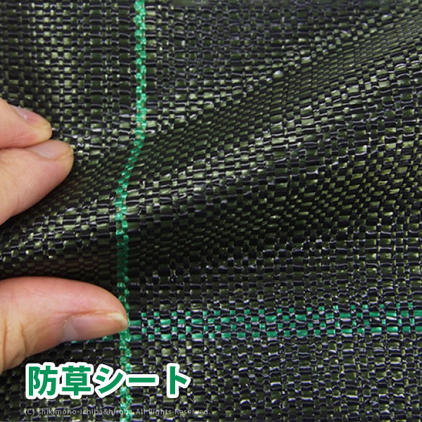 贈りその儀にぴったり！差し上げ物特集