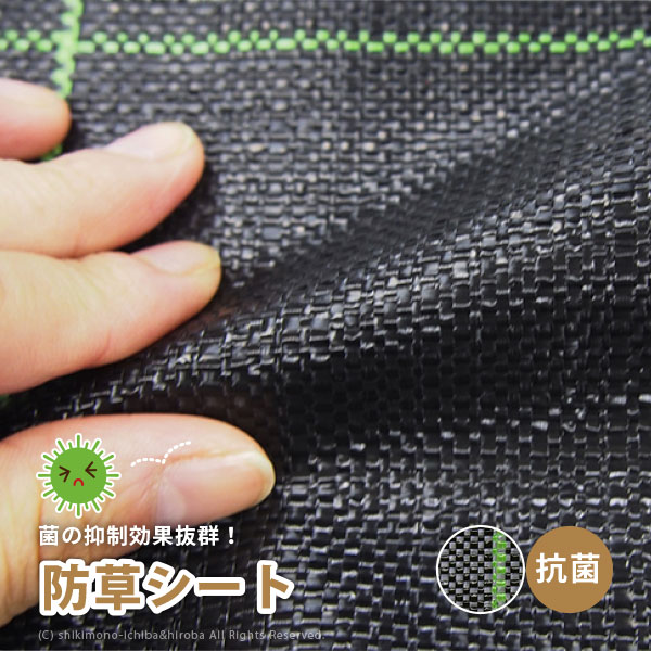 贈りその儀にぴったり！差し上げ物特集