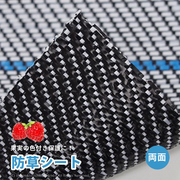 ?百貨店大売り出し?