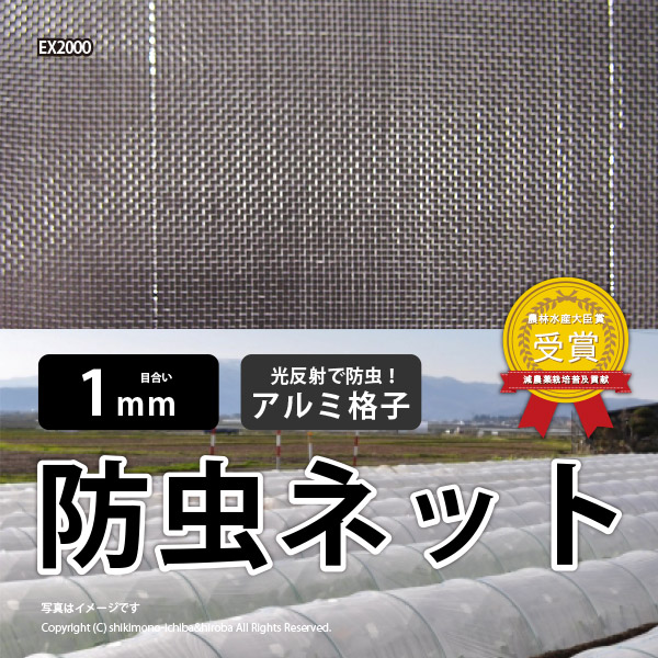 国内外の人気 日本製 国産 防虫ネット サンサンネット 白生地 アルミ格子付き EX2000 約幅1.35×長さ100m 園芸 畑 農業 防虫シート  fucoa.cl