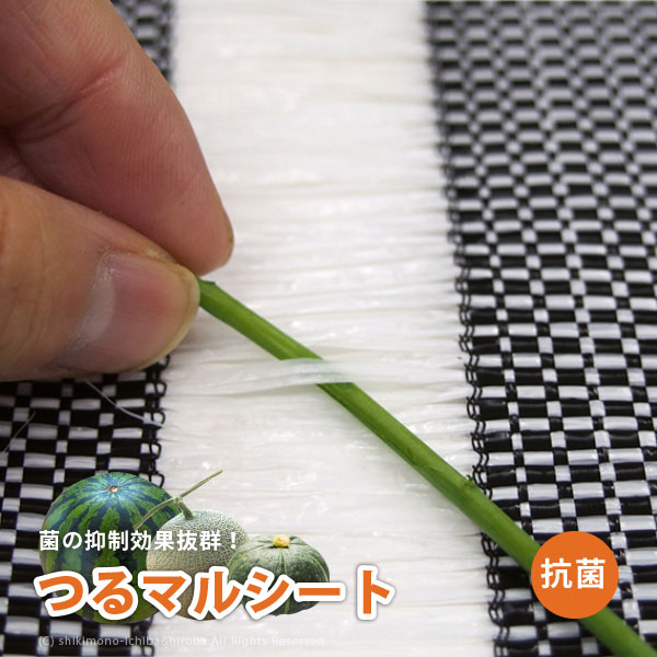 楽天市場】【P2倍・5％クーポン有☆スパセ中】日本製 国産 防草
