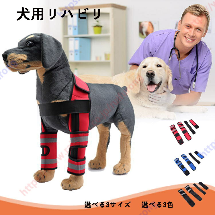 楽天市場】【anifull 公式】 アニサポ ショルダースリーブ 小型
