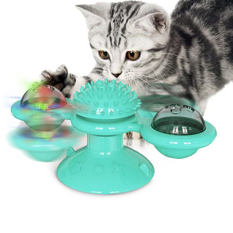猫 おもちゃ 頑丈 100 本物保証 66 割引 Festina Pl 猫 おもちゃ 頑丈 100 本物保証 66 割引 Festina Pl