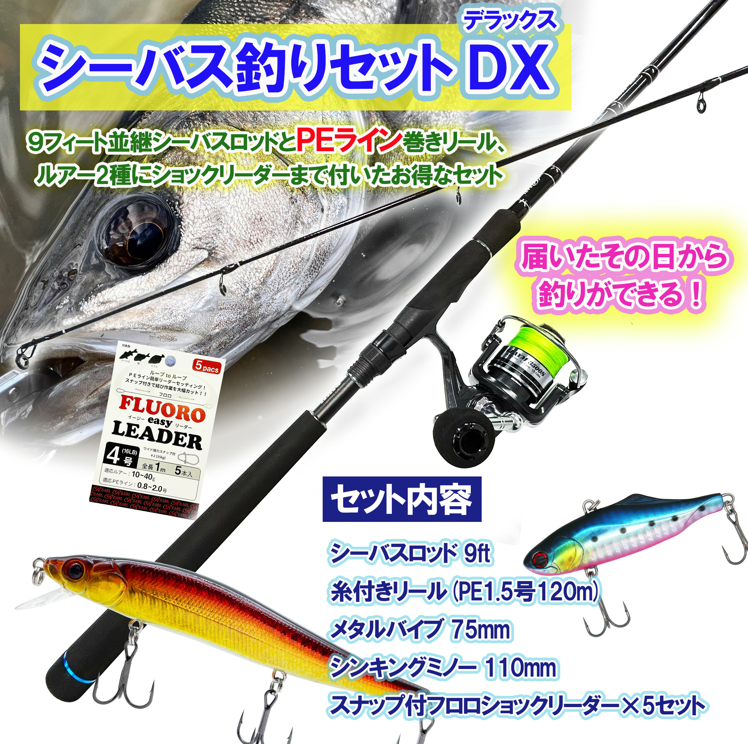 楽天市場】シーバス入門セット ビッグシルバーファイター 9.0f
