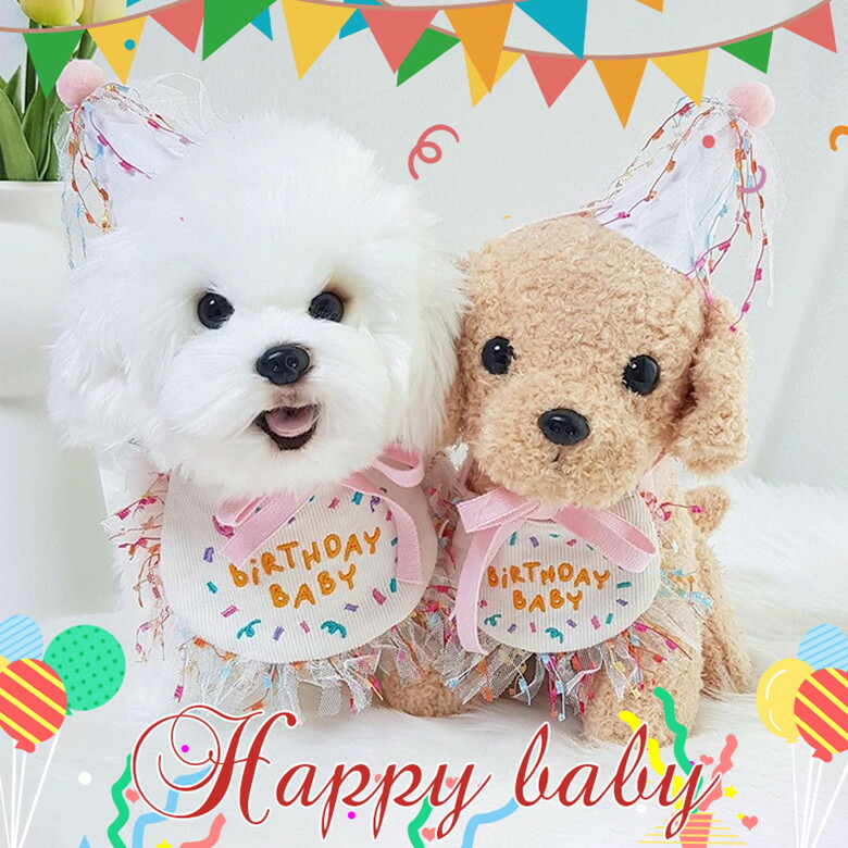 犬用スタイ 誕生日 写真 わんこ 撮影 猫 帽子 犬 ハッピーバースデー お祝い