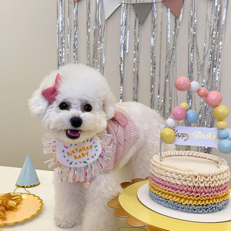 市場 犬用スタイ 撮影 お祝い 写真 ハッピーバースデー 犬 帽子 わんこ 誕生日 猫