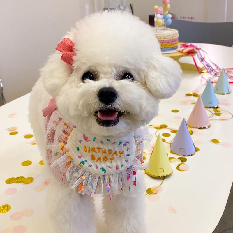 市場 犬用スタイ 撮影 お祝い 写真 ハッピーバースデー 犬 帽子 わんこ 誕生日 猫