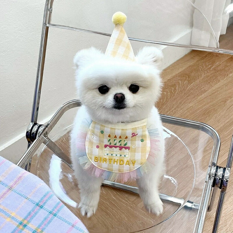 犬用スタイ 誕生日 コスプレ 犬 わんこ 写真 撮影 猫 お祝い ハッピーバースデー
