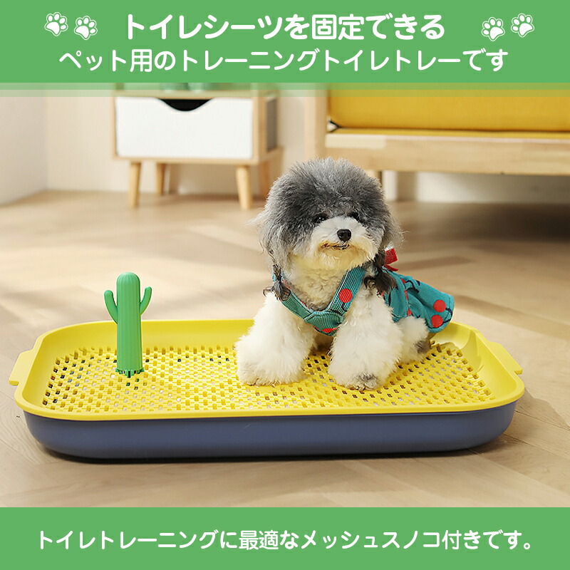 決算特価商品 ペット 犬用トイレ 小型犬 トイレワイドトレーニング マットフレームと犬用 トレイボックス 屋内 屋外 Patrasnipatomarimpulso Com