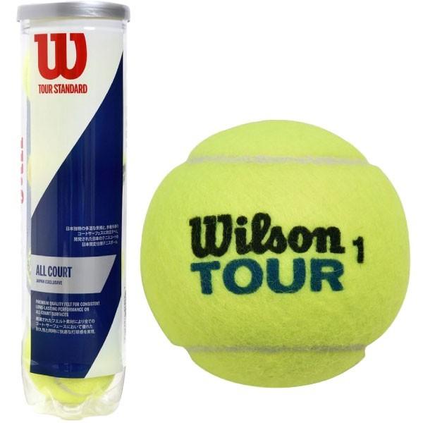 Wilson 「SDGsプロジェクト」「KPIオリジナルモデル」Wilson