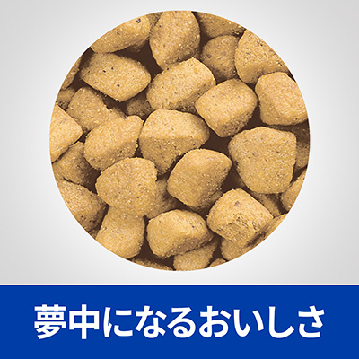 新品即決 プリスクリプション ダイエット 猫用 C D マルチケア コンフォート メタボリックス ドライ 2kg 2袋 日本ヒルズ B ペット フード 猫 キャット 療法食 尿ケア 体重管理 Runpet 超人気 Cedeba Com Ar