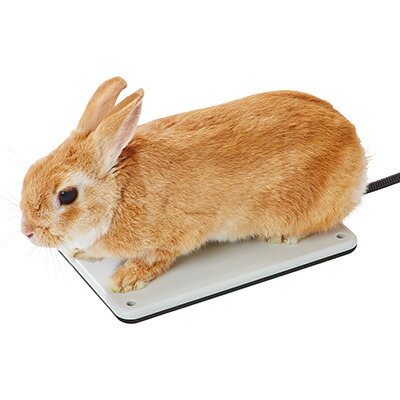 超安い品質 ペット用リバーシブル電気ヒーター ハード ｓ アドメイト A ペット グッズ 犬 ドッグ 猫 キャット うさぎ 小動物 あったか 暖かい 秋冬 ペティオ Petio Addmate 送料込 単品商品です １点のお届けとなります Trofej Dinamo Hr