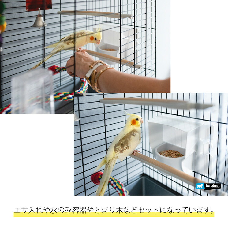 宅配 bellashop店イタリアferplast社製 鳥かご オウム用ケージ エキスパート 100 Expert 鳥籠 ゲージ フルセット 