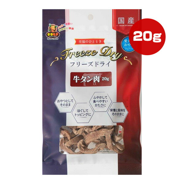 81%OFF!】 LCN エルシーエヌ スパ マッサージ オイル 101343 300mL 
