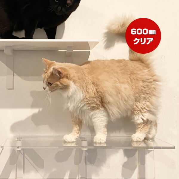 キャットロードプラス ロングステップ クリア 600mm アニマコレ ▼c ペット グッズ 猫 キャット 取付簡単 ウォーク タワー ツリー DIY 人気 オシャレ 透明 賃貸 安全 日本製 Catroad+ animacolle 送料無料