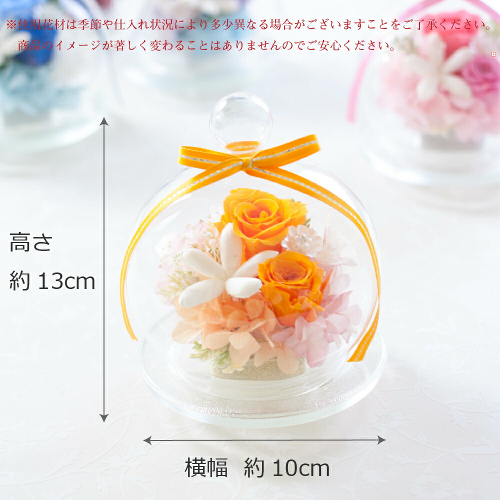 新品本物 結婚祝い プレゼント 花 フラワーギフト プリザーブドフラワー ビーンベアー入り ケース付き 贈り物に お祝い 記念日 激安の Centrodeladultomayor Com Uy