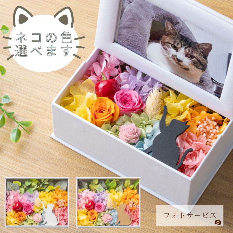 プリザーブドフラワー 写真立て 猫 『mignon ミニョン』 フォトフレーム インテリア雑貨 誕生日 プレゼント ペット 仏花 お供え 卒業祝い 退職祝い 母の日 クリスマス プリザードフラワー 写真プリントサービス ギフト 送料無料