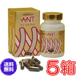 【送料無料】エイエヌティ（ＡＮＴ）　×超お得５箱セット《ミネラル、蟻、ふしぶし、アリ加工食品、エイ・エヌ・ティー、人気マンガ家の里中満智子先生も長年愛用》