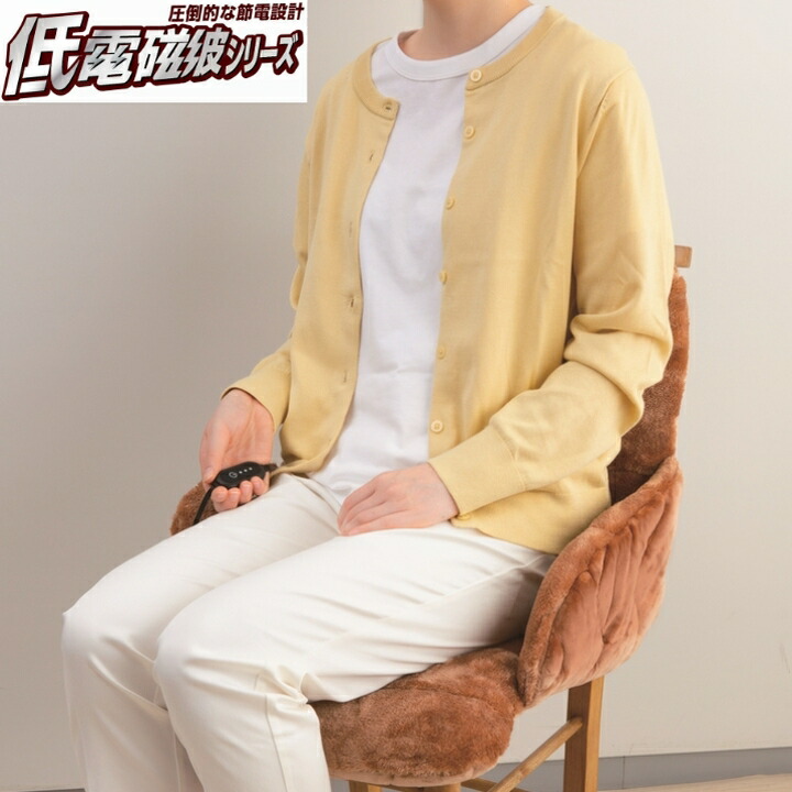 楽天市場】【クーポンで1000円OFF！2/23 23:59まで】ゼンケン 腰