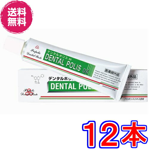 【送料無料】デンタルポリス ＤＸ　×超お得１２本 ＋８ｇ（携帯用）１２個プレゼント《本体１本８０ｇ、医薬部外品、歯肉炎・歯槽膿漏・口臭を予防》
