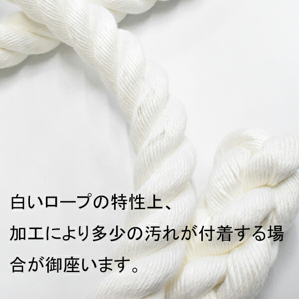 ターザンロープクレモナロープ30mm×3.5mワッパ部分コース無登り綱運動スポーツトレーニング