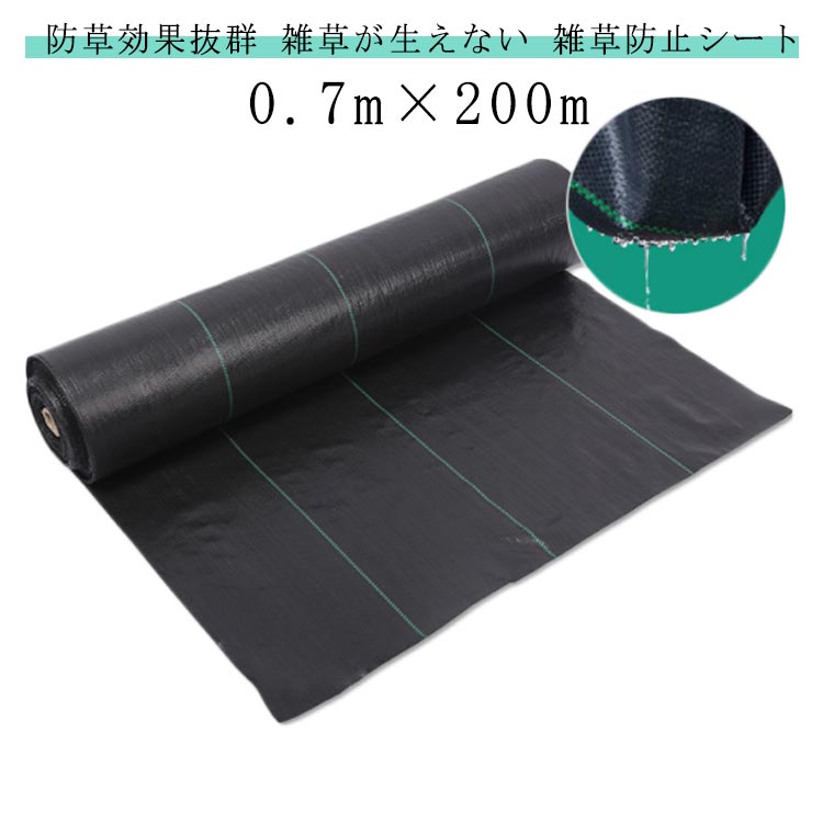 新品入荷