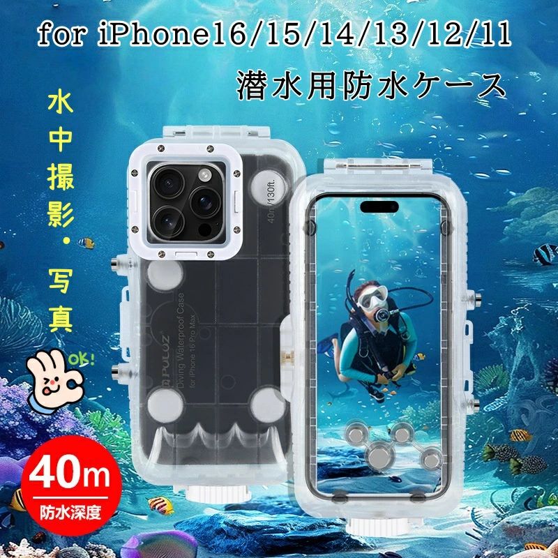 新品入荷