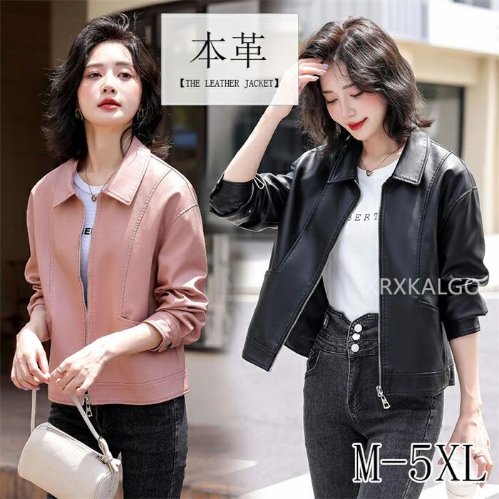 新品入荷