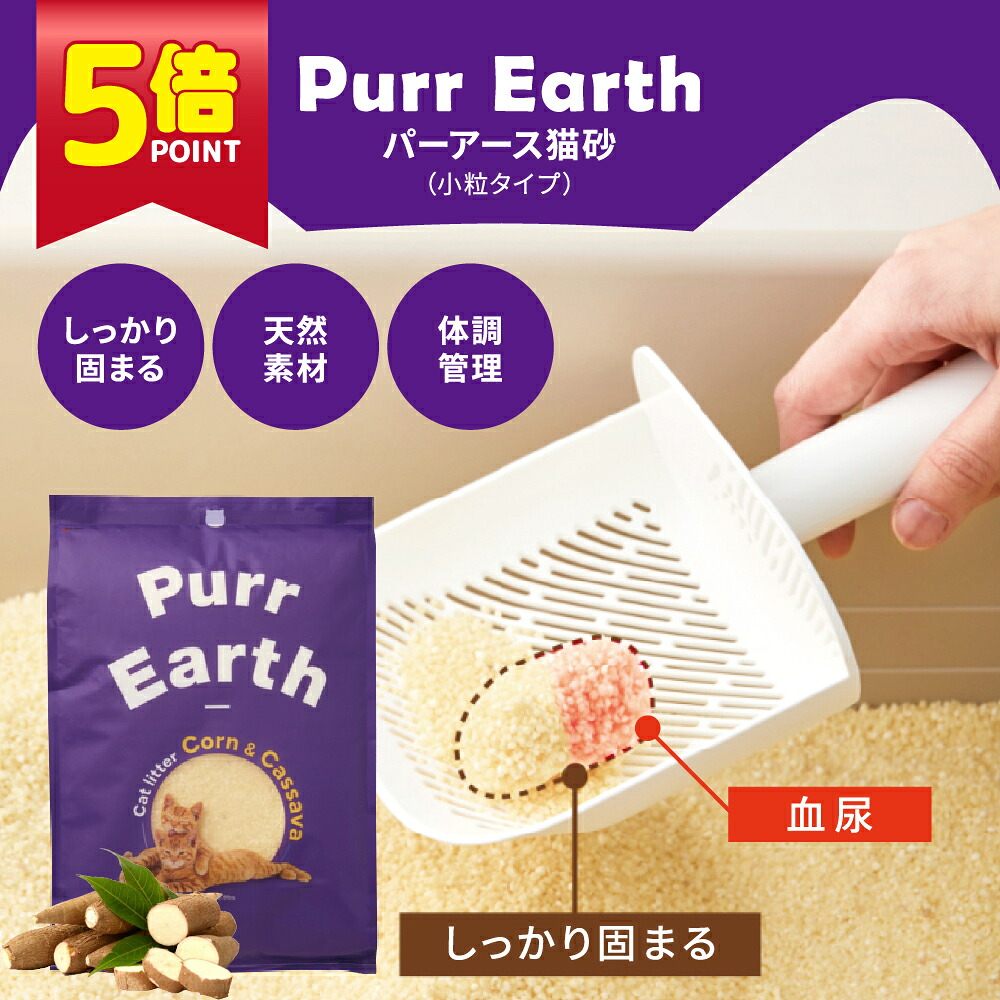 ★ 百貨店SALE 尖んがり5倍 ★ 【キャッサバ製猫砂】基準打数地びた猫砂(微粒子 4kg) しっかり固まる 100%生まれながら原料品 健康状態管理すること 猫砂 猫すな ねこすな 猫砂 ねこ砂 猫といれ 固まる猫砂 幼児用便器に流せる猫砂 猫の幼児用便器 砂 飛び散らない 幼児用便器 キャッサバ猫砂 砂子 無付け加える