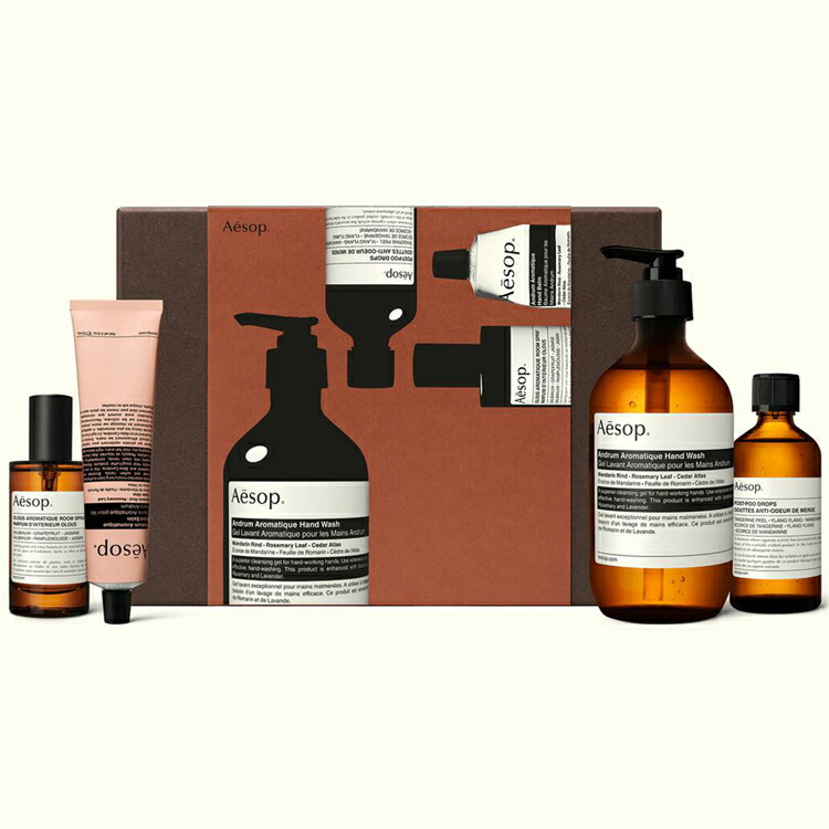 楽天市場】【純正巾着付】Aesop イソップ イソップ スクリーン3