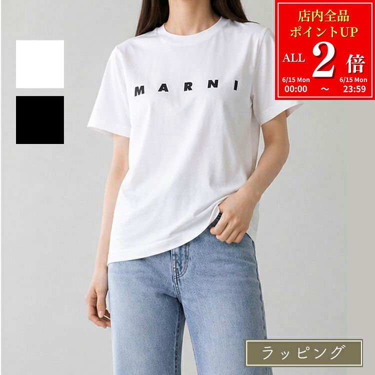流行り紙入れ特集