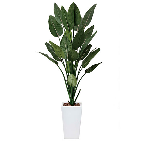 アートグリーン　人工観葉植物　光触媒　光の楽園　ストレチアW1.6 41,470円